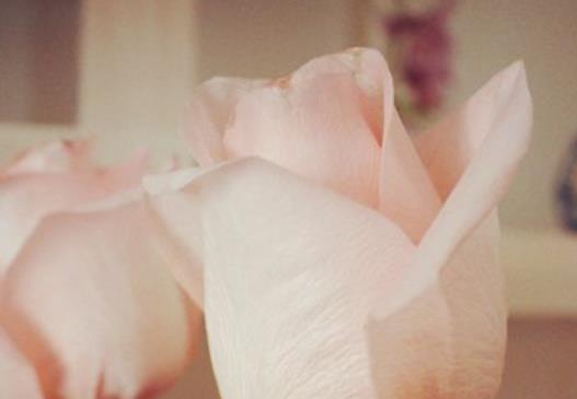 深爱而不得不放手句子文案