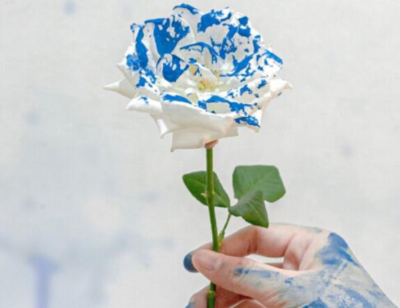 作文好词好句文案