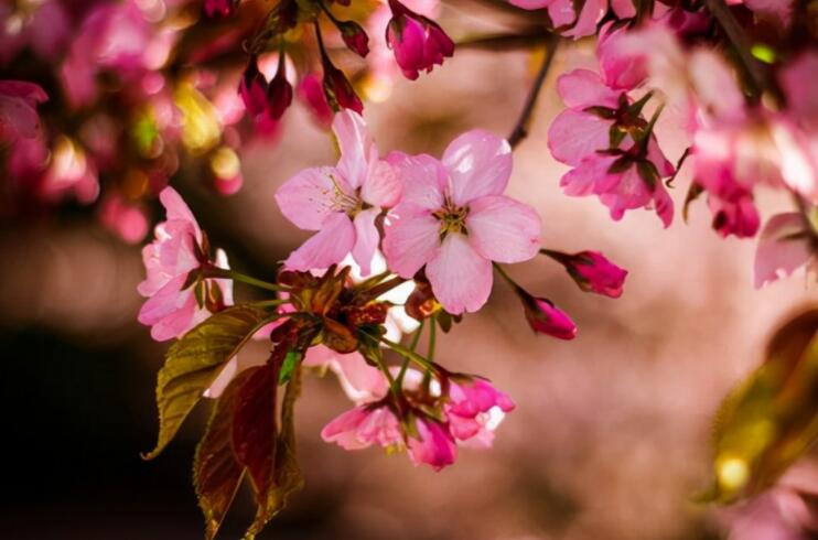 早安分享正能量工作励志句子文案