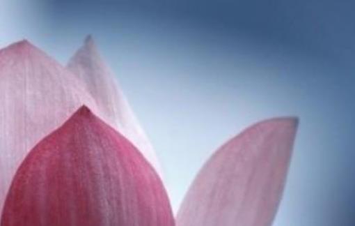 抖音简短最火的句子文案