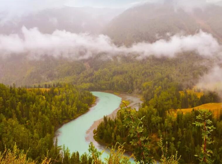 关于寒露的诗歌有哪些