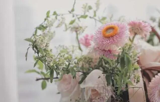 适合花草的文案