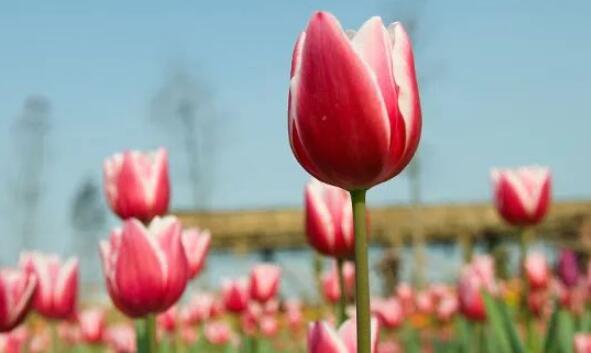 回忆过去美好的句子文案