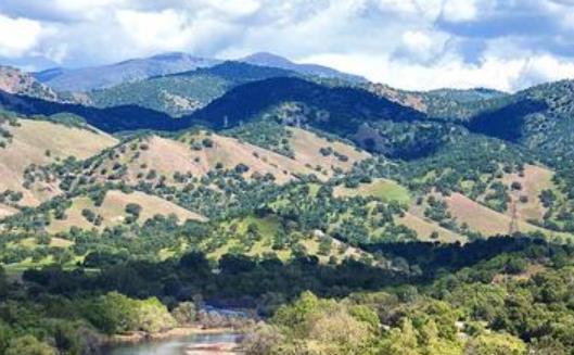 阳光正能量的早安心语