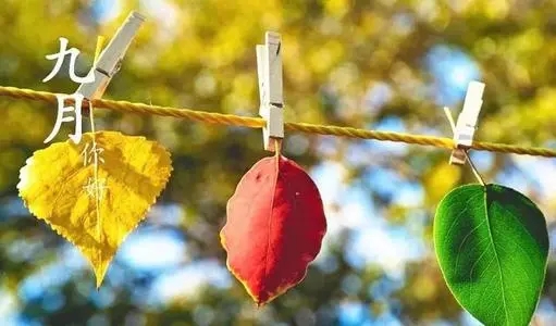 微商晨读正能量短句