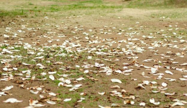 最近很压抑的说说文案