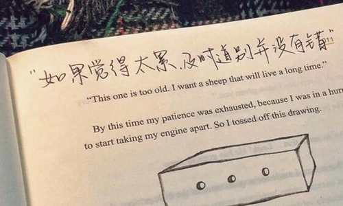 怎么讽刺说谎人的句子文案