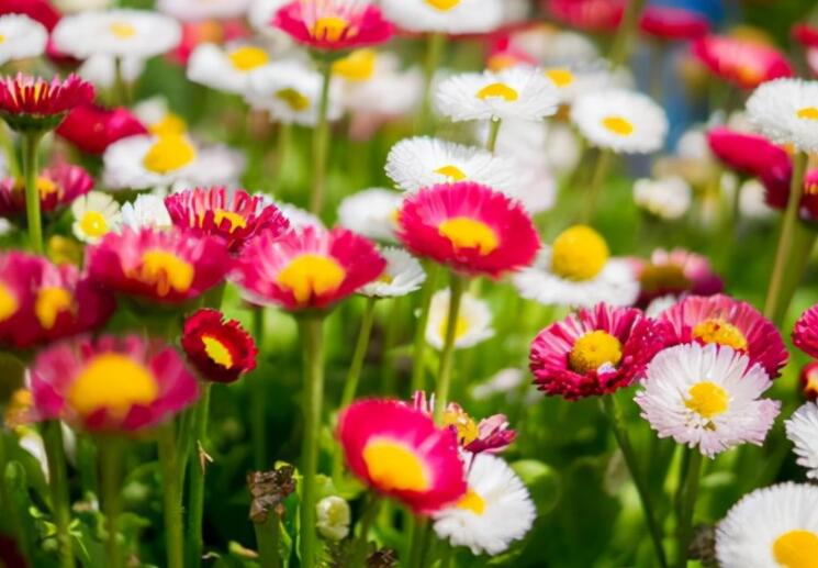 早晨群发正能量问候语