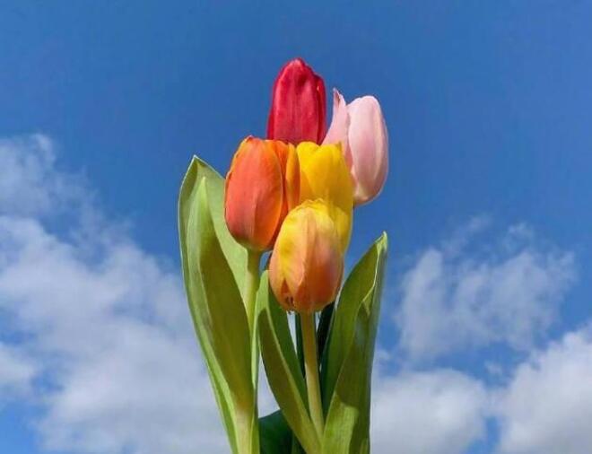 正能量励志句子文案