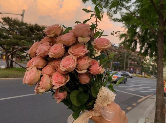 下午最美祝福语