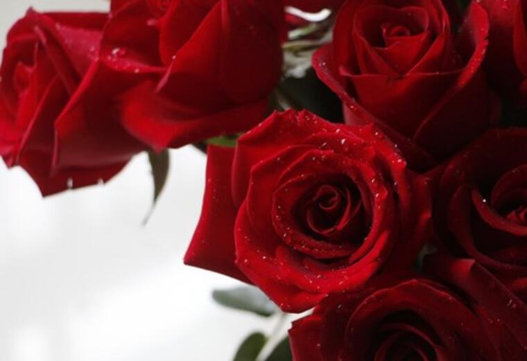 永远珍惜一个人的句子文案