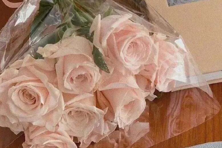 森系文艺治愈句子文案