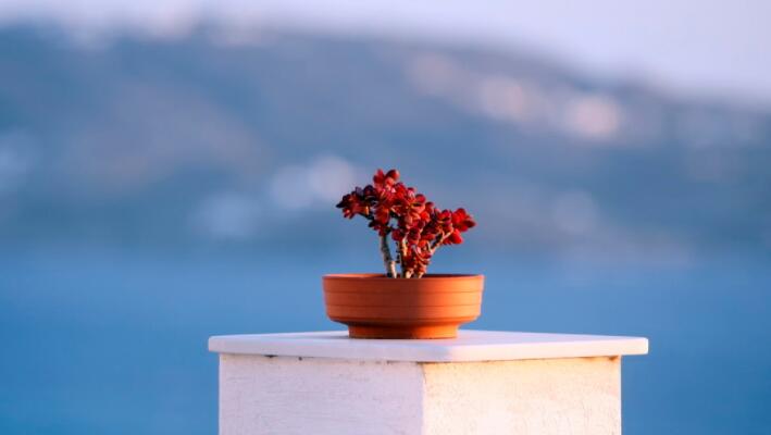 路太难走的句子文案