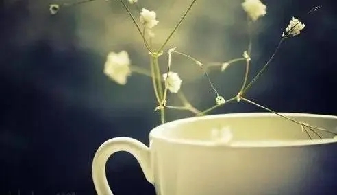 自强不息的名言