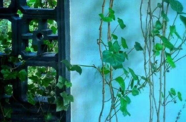 东野圭吾经典句子文案