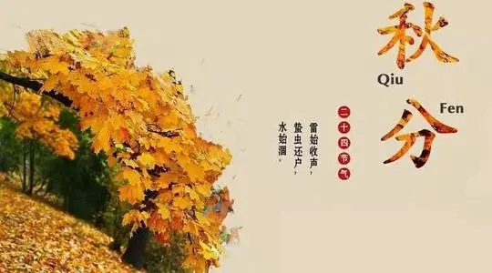 有关秋分节气的诗句文案