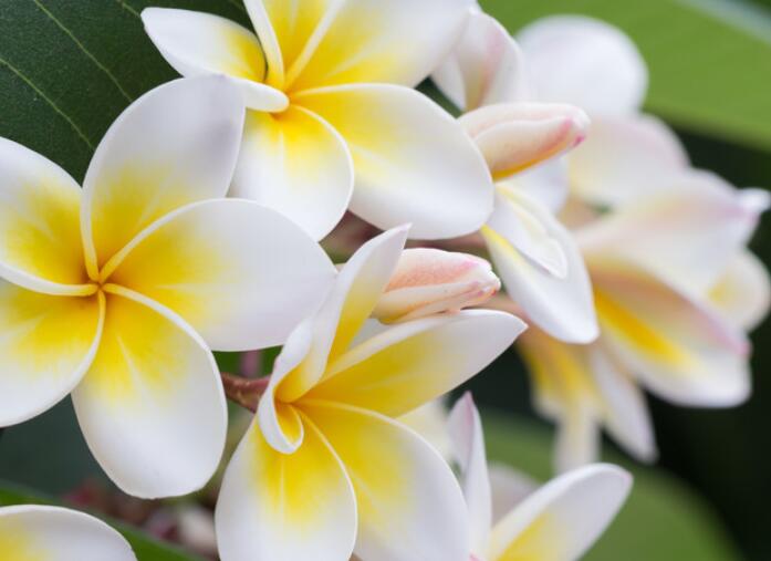 托物言志的文章