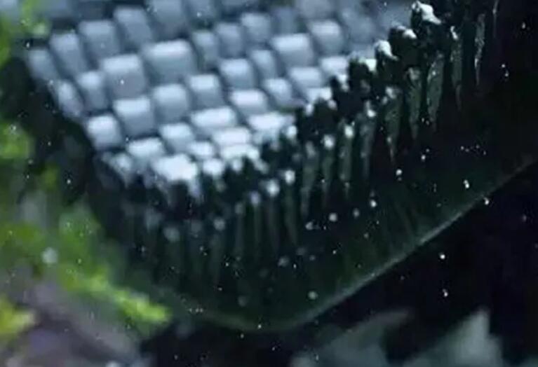 关于诚信的名言故事