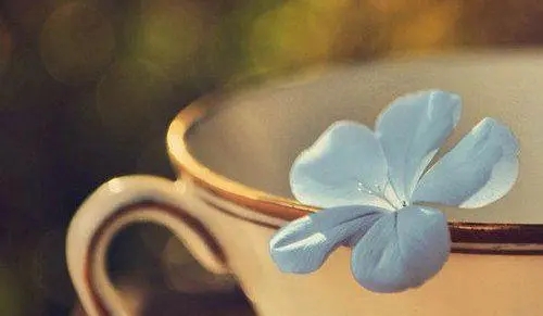 美好的句子文案简短