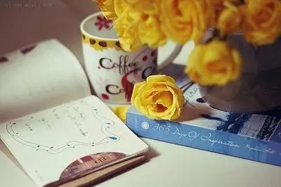 珍惜爱情的句子文案经典语录