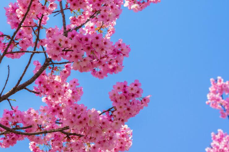 深深牵挂情人的语句文案