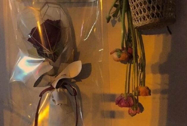 不处cp的句子文案