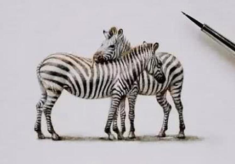 冷暖的句子文案