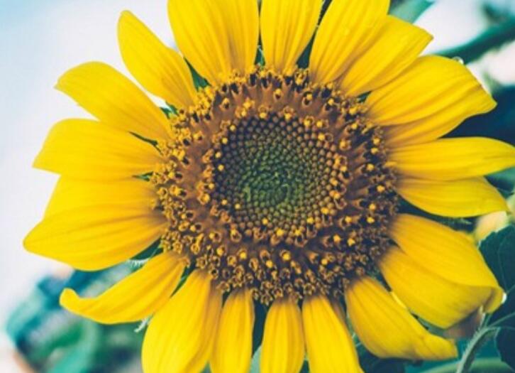 女人三十岁祝福语简短