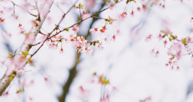 很美的句子文案读到心碎