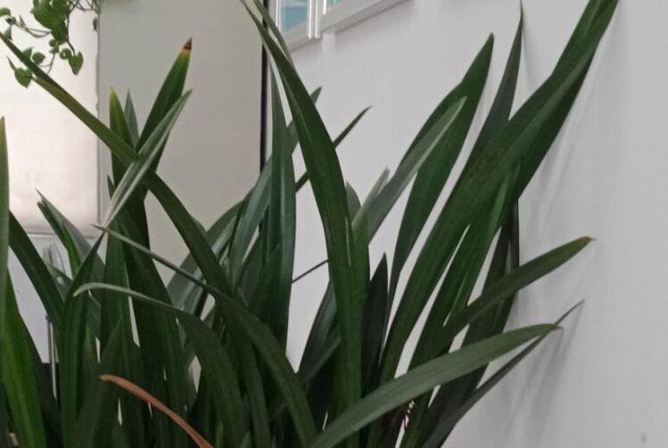 周一温馨问候暖心话