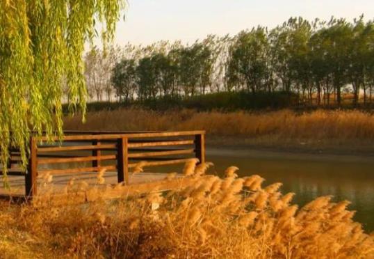 十一月美好的寓意的句子文案