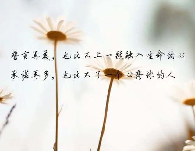 过好每一天的经典句子文案