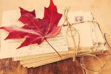 新认识朋友的语言优美句子文案