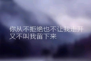 适合发快手的句子文案伤感