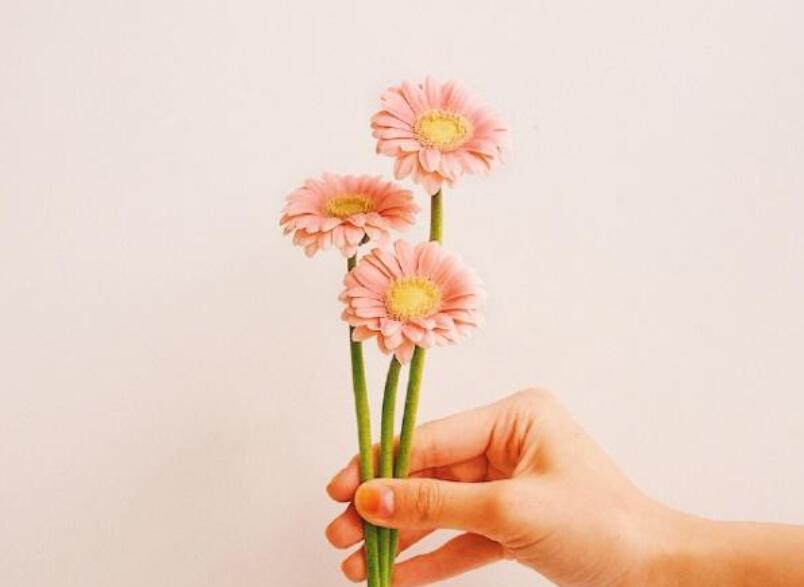 每日最新早安祝福语