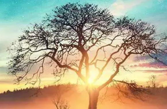 伤感霸气超拽的句子文案