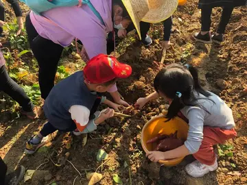 干农活感悟的一句话