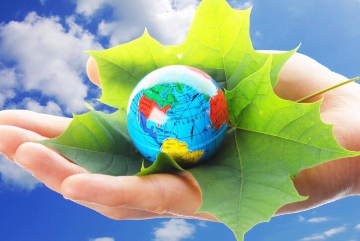 保护家园的句子文案50字