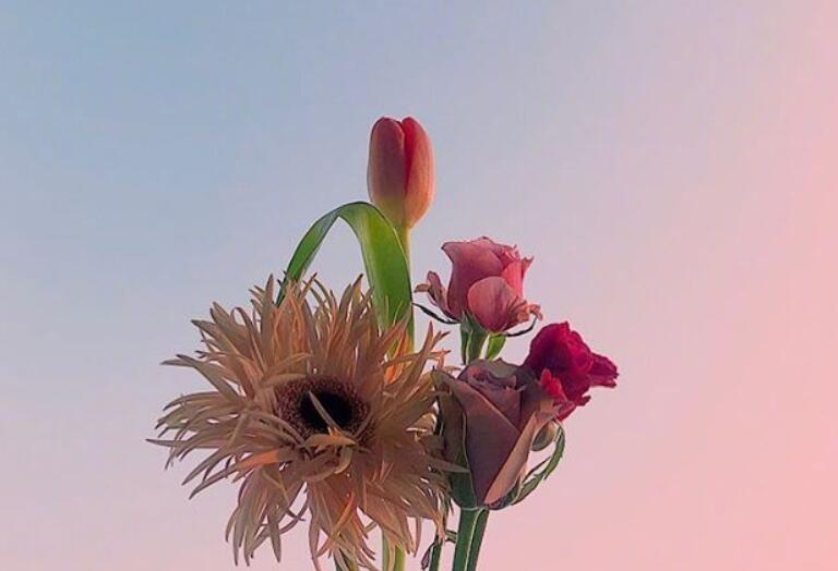 每天说暖心的早安句子文案