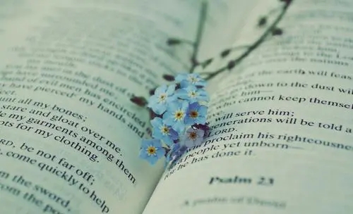 适于摘抄的英语句子文案