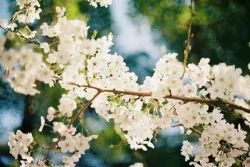 高雅有意境的句子文案