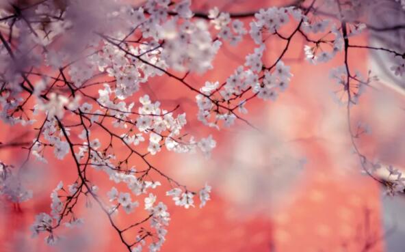 很美的句子文案读到心碎