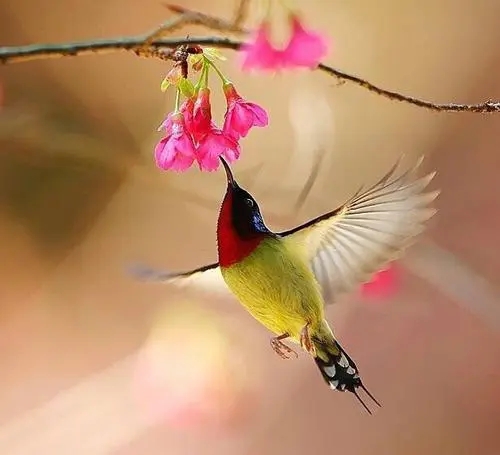 2021点赞最高的说说文案