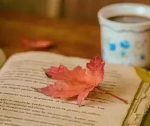 好段摘抄大全20字