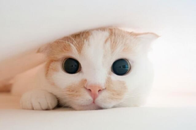 无关爱情的崩溃文案