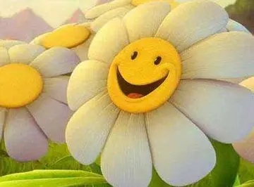 高情商正能量句子文案励志短句子文案