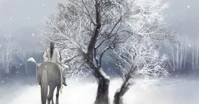 想要约女孩见面的诗句文案