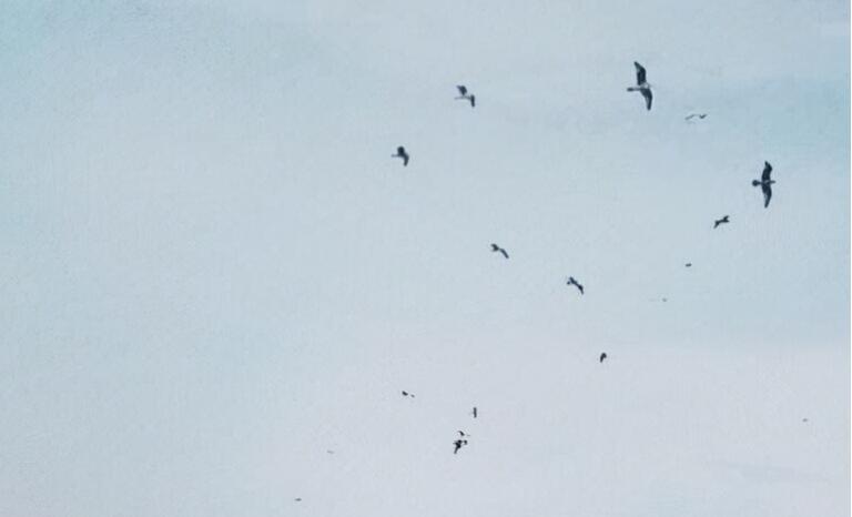 晚安心语正能量励志女人简短