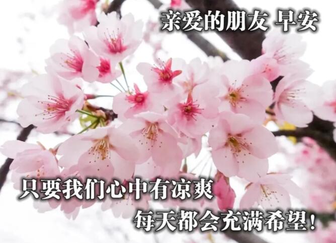 励志早安图片早安心语