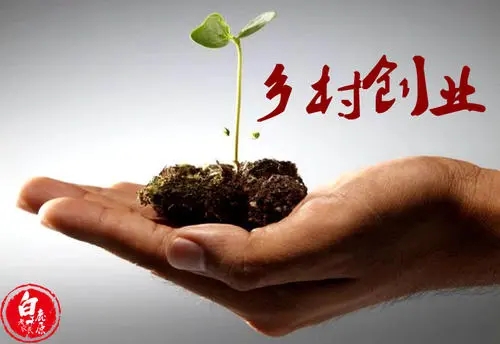 农村孩子创业心酸句子文案